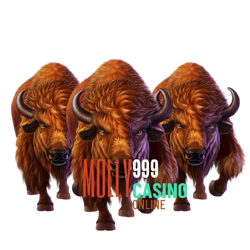 WN55 SLOT